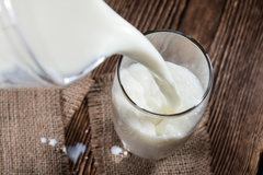 Can You Drink Milk on the Carnivore Diet?