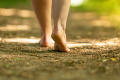 What Is Grounding? Benefits, Techniques, and History