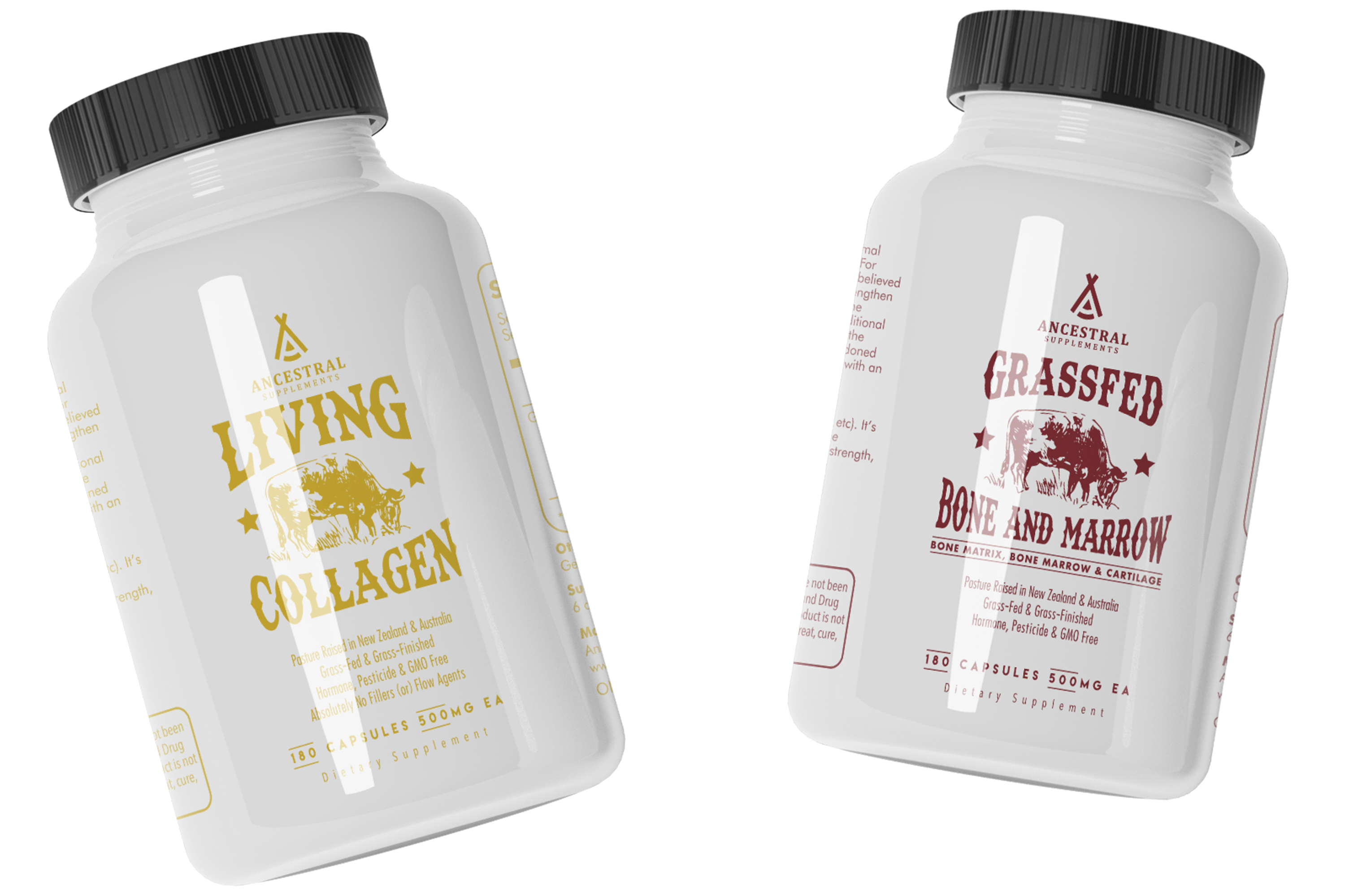 Bone & Joint Support
