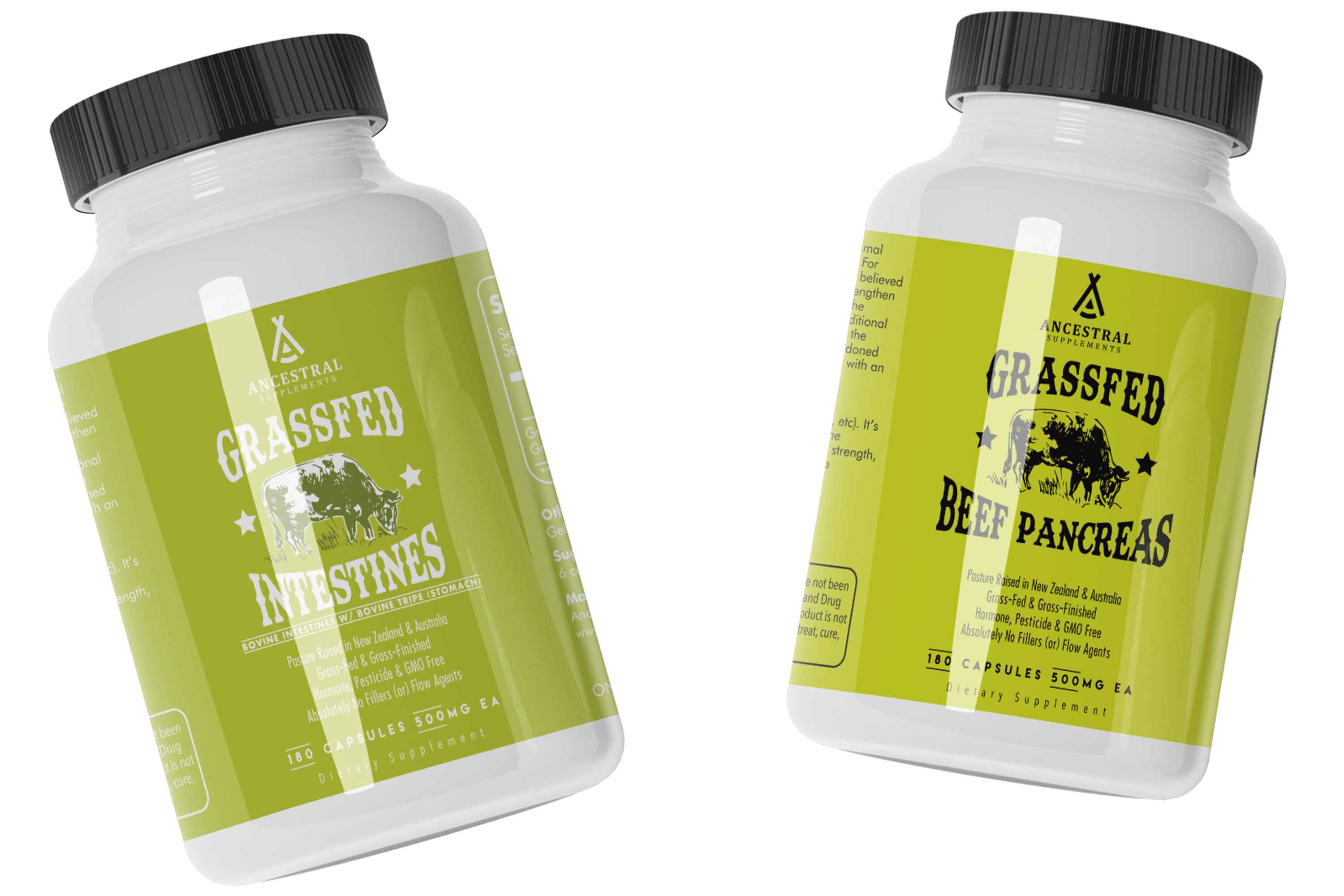Gut & Digestion Health