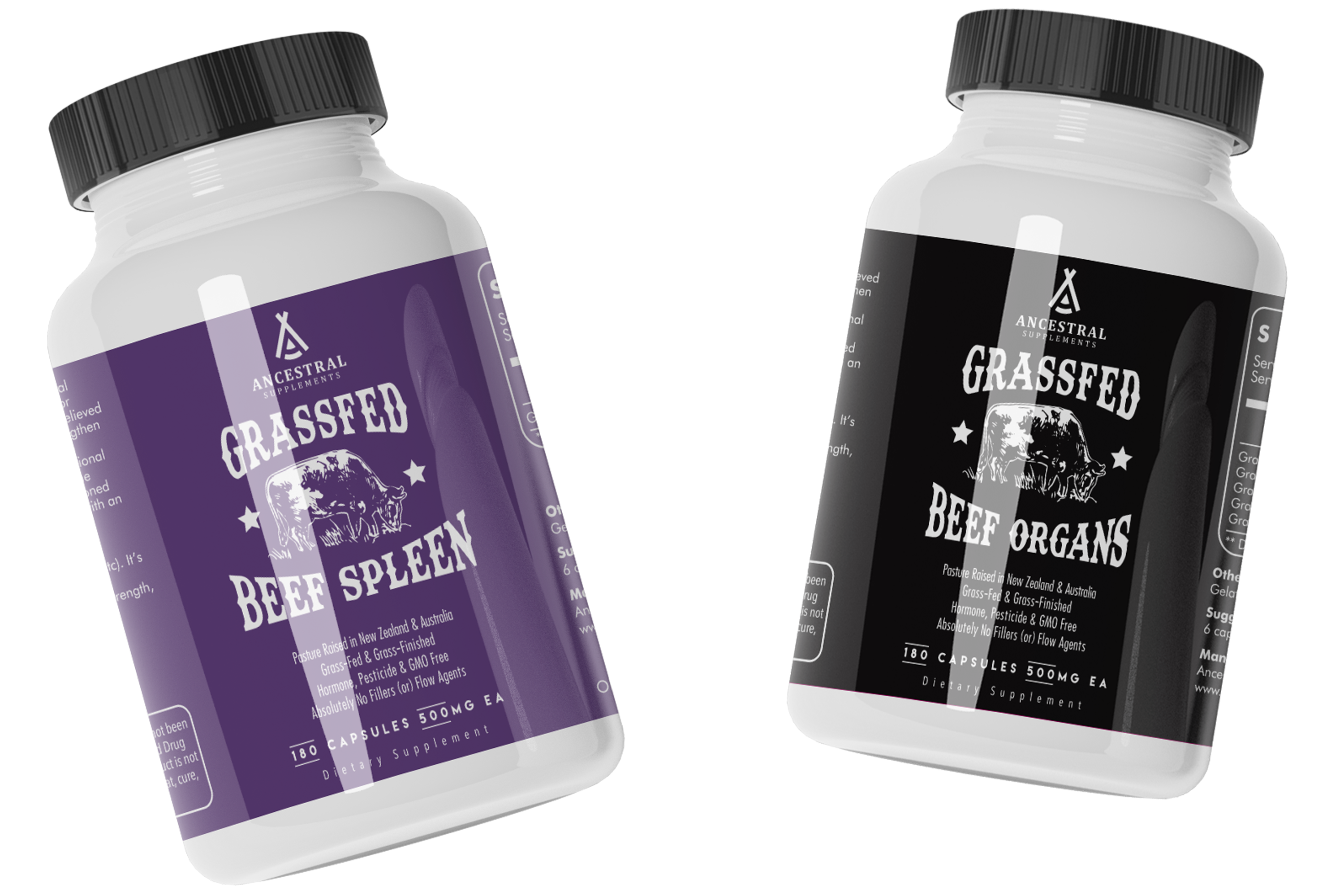 Immune Support