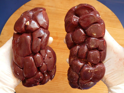 Beef Kidney Benefits: Everything You Need to Know About Its Awesome Power