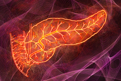 Beef pancreas benefits — Ancestral Supplements