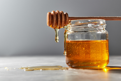 Can you have honey on the carnivore diet? — Ancestral Supplements