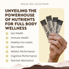 Grass Fed Beef Colostrum Stick Packs