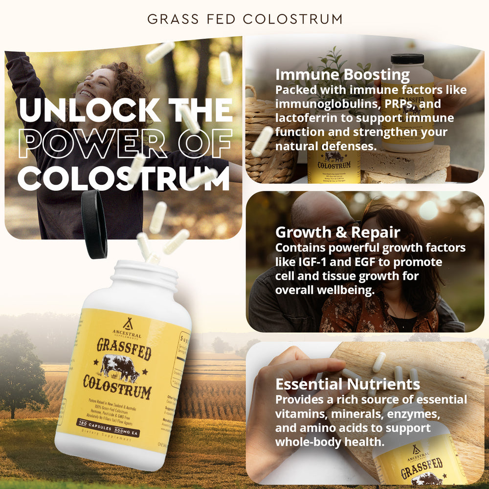Beef Colostrum Grass Fed Beef Colostrum - Ancestral Supplements
