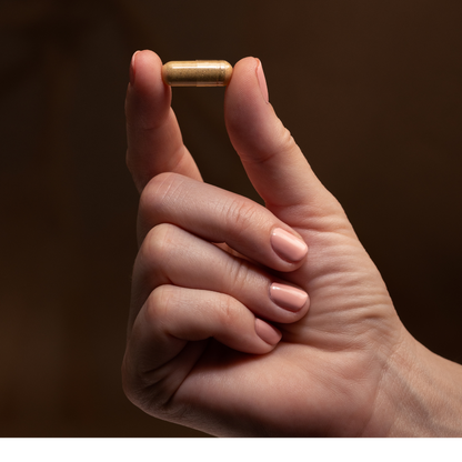 Close-up of a hand holding a single Grass-Fed Beef Liver supplement capsule, highlighting its natural brown color and compact size, against a warm, neutral background.