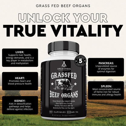 Grass Fed Beef Organs 3-Pack
