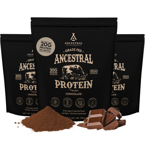 Ancestral Protein Powder 3-Pack