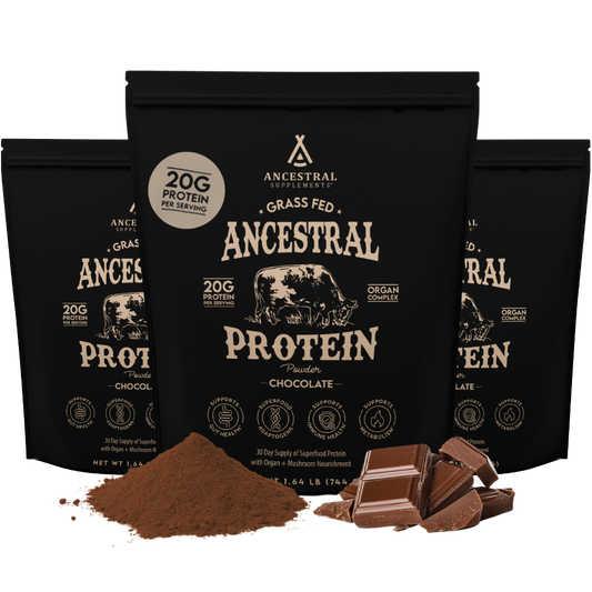 Ancestral Protein Powder 3-Pack