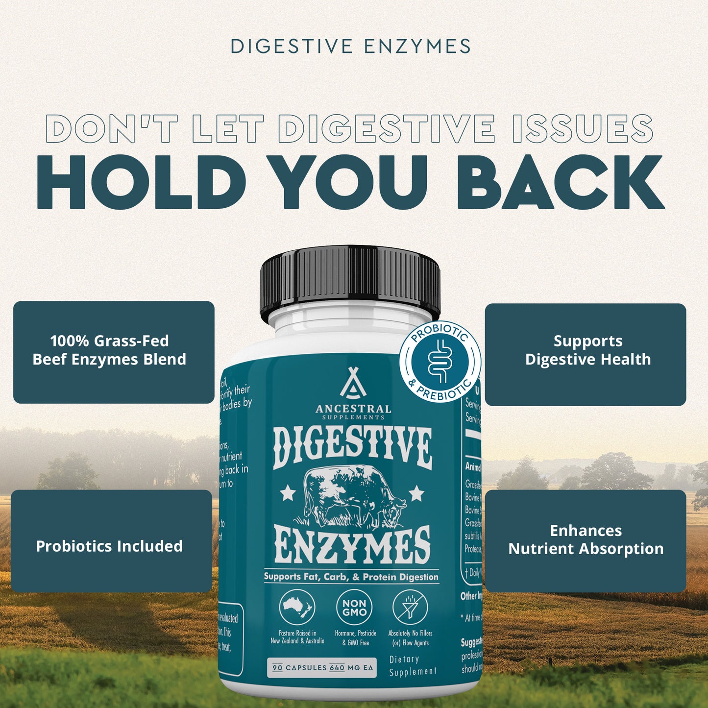 Digestive Enzymes