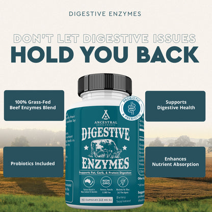 Digestive Enzymes