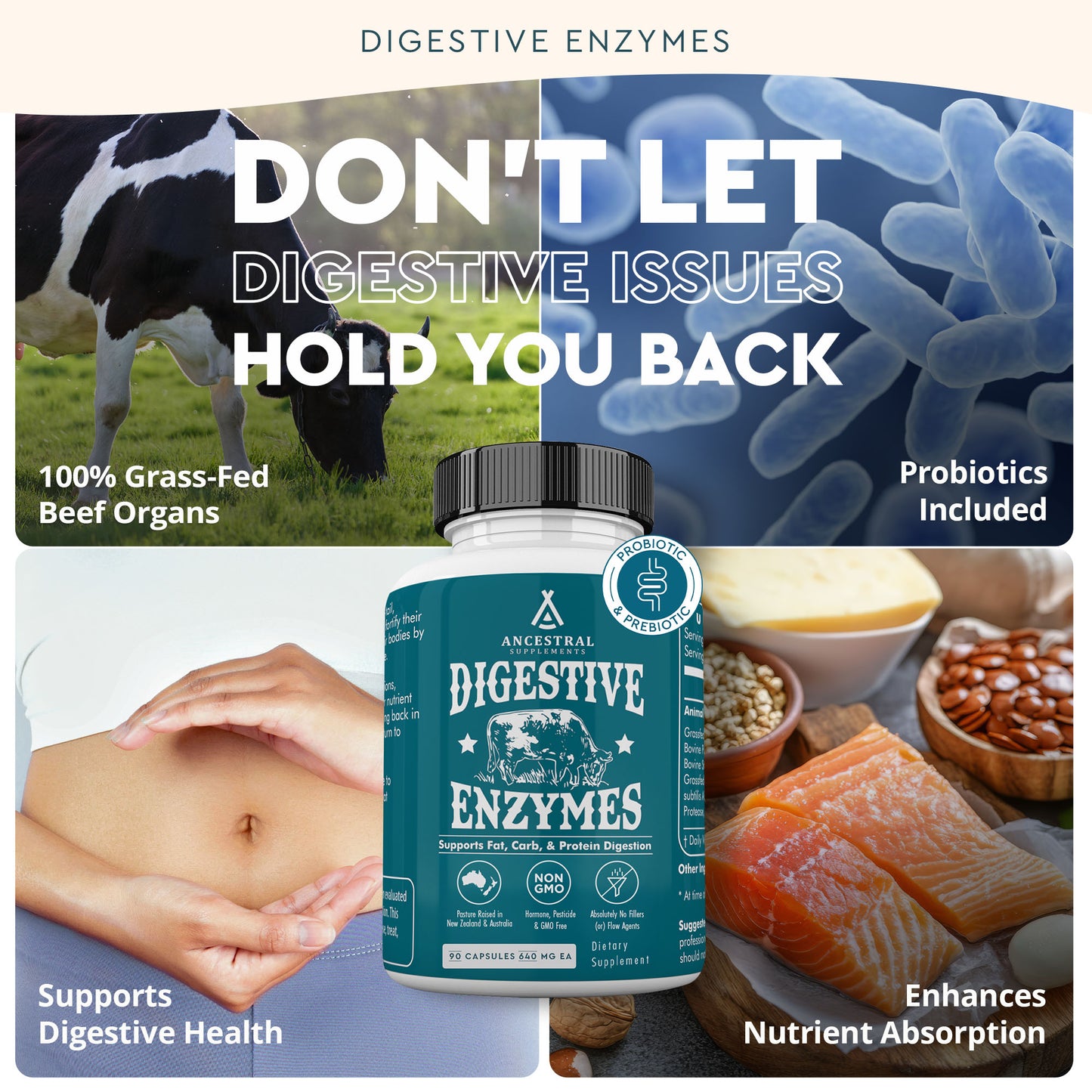 Digestive Enzymes