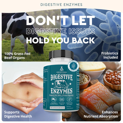 Digestive Enzymes
