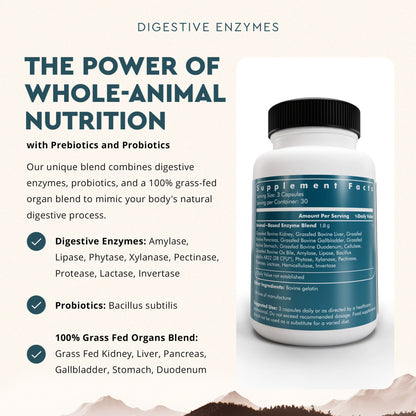 Digestive Enzymes