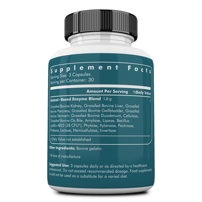 Digestive Enzymes