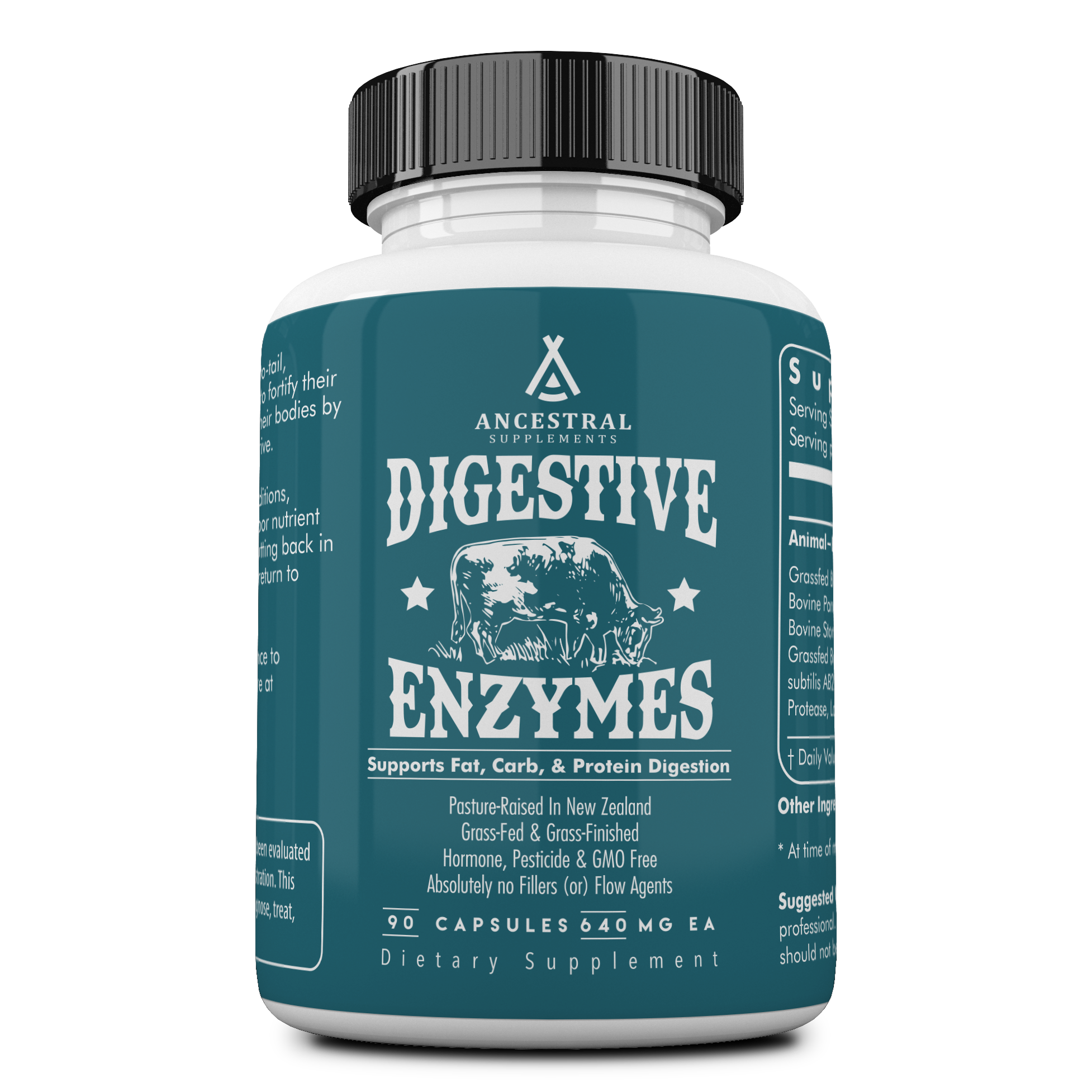 Enzymes_front