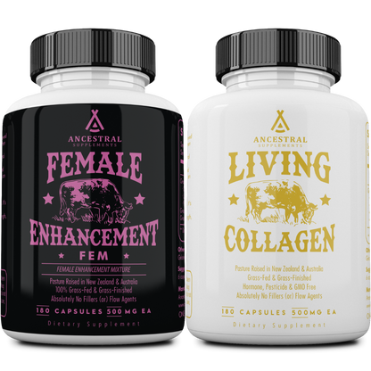 FEM & Living Collagen