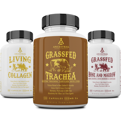 Joint & Connective Tissue