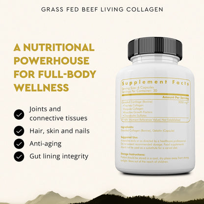 Grass Fed Beef Living Collagen