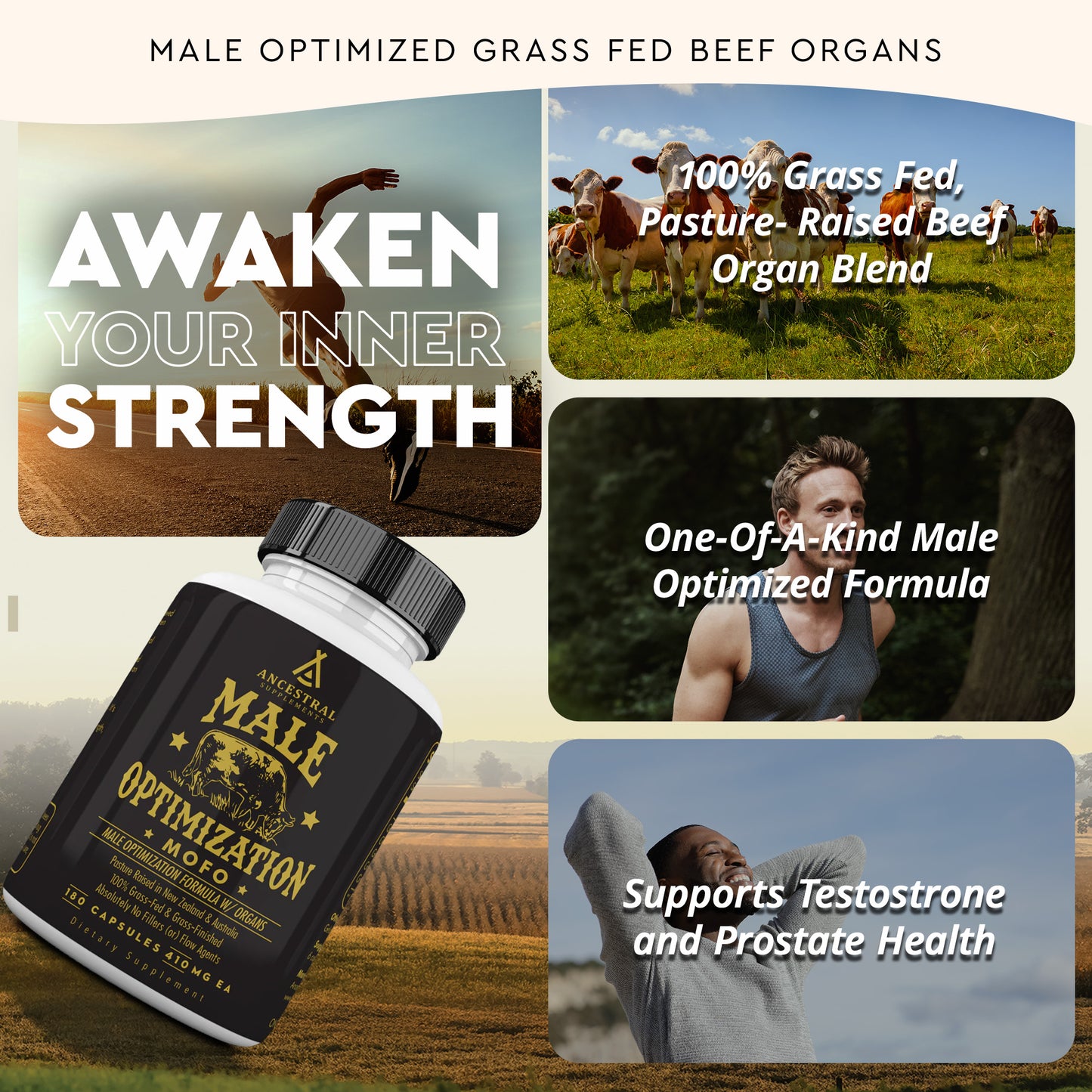 MOFO: Male Optimization Formula with Grass Fed Beef Organs