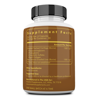 Trachea & Bone and Marrow