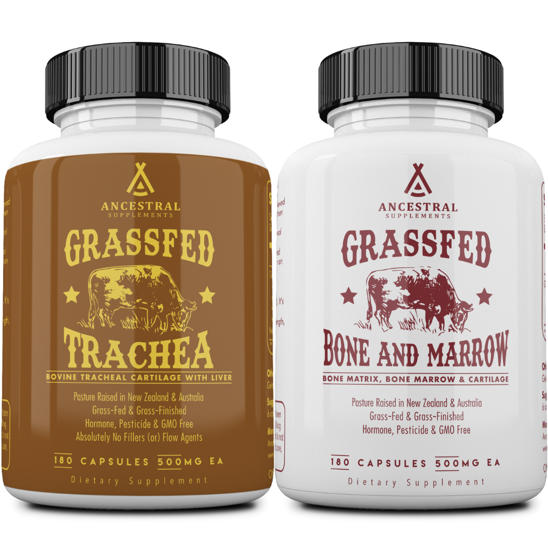 Trachea & Bone and Marrow