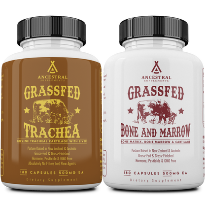 Trachea & Bone and Marrow