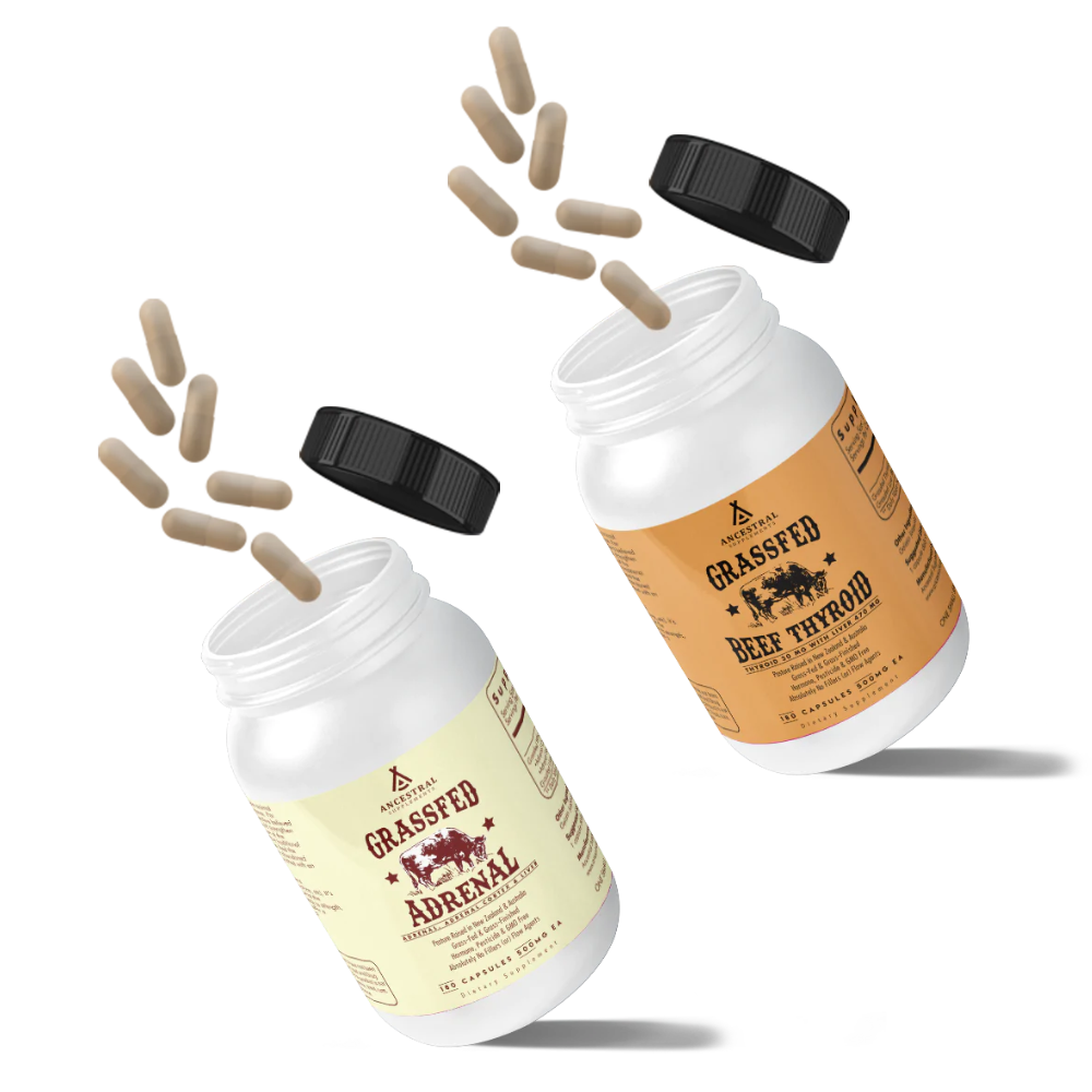 Untitled_design_-_2024-01-14T140728