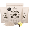 Ancestral Protein Powder 3-Pack