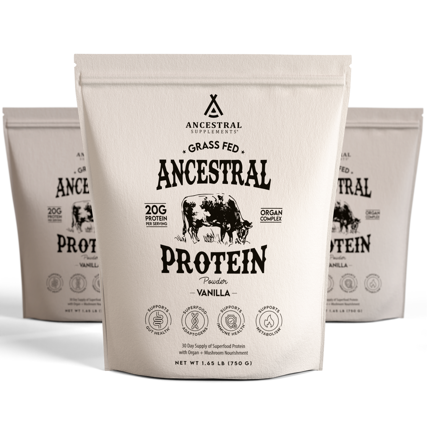 Ancestral Protein Powder 3-Pack